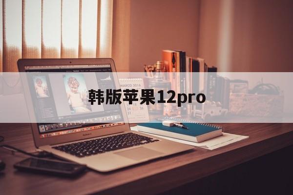 韩版苹果12pro(韩版苹果12pro支持联通卡吗)-第8张图片-有道翻译官网 韩版苹果12pro(韩版苹果12pro支持联通卡吗)-第8张图片-有道翻译官网