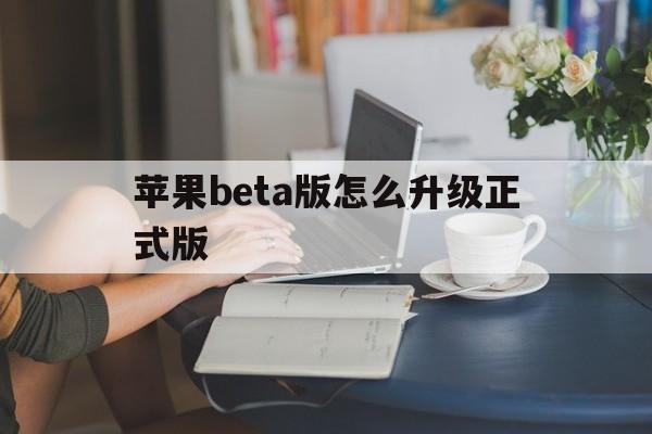 苹果beta版怎么升级正式版(iphone怎么升级beta版)-第2张图片-有道翻译官网 苹果beta版怎么升级正式版(iphone怎么升级beta版)-第2张图片-有道翻译官网